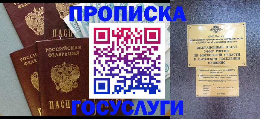 прописка гарантия в Санкт-Петербурге